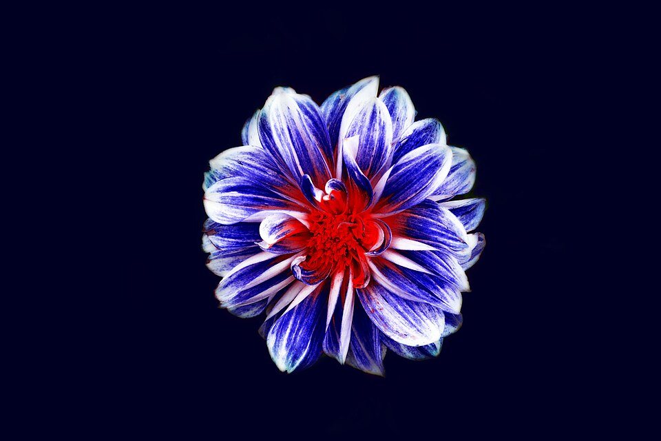 Étoile bleue