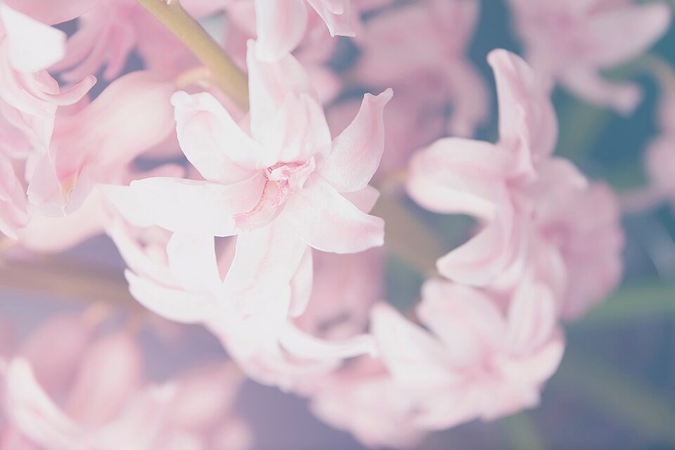 Printemps